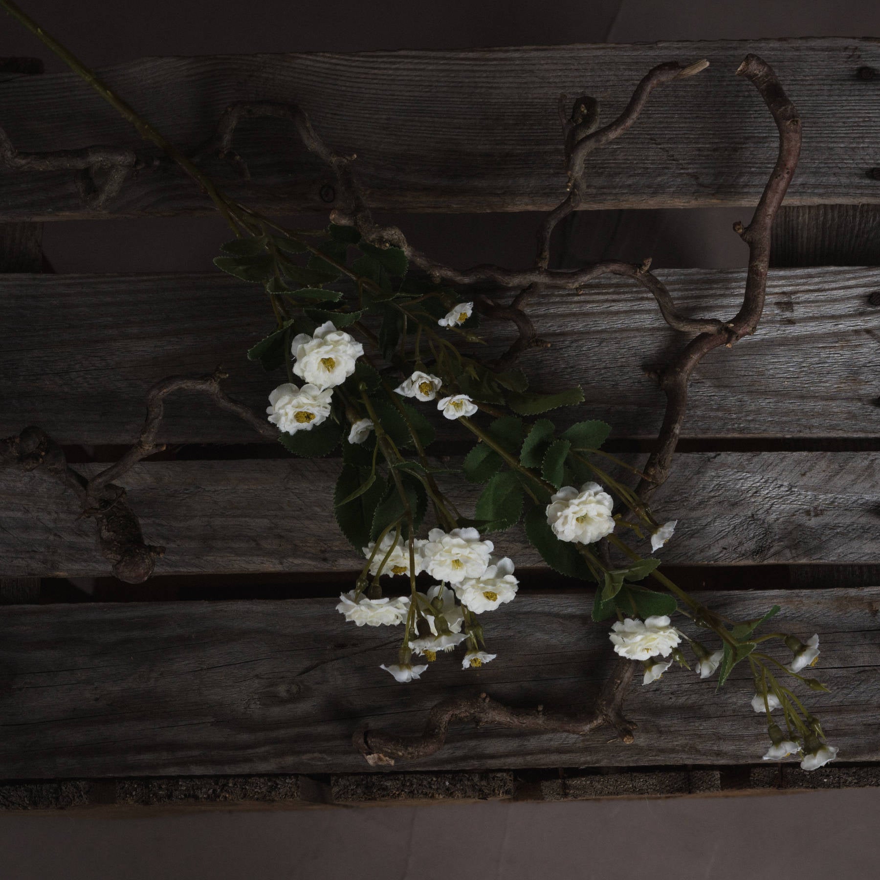 White Wild Meadow Rose 74 cm