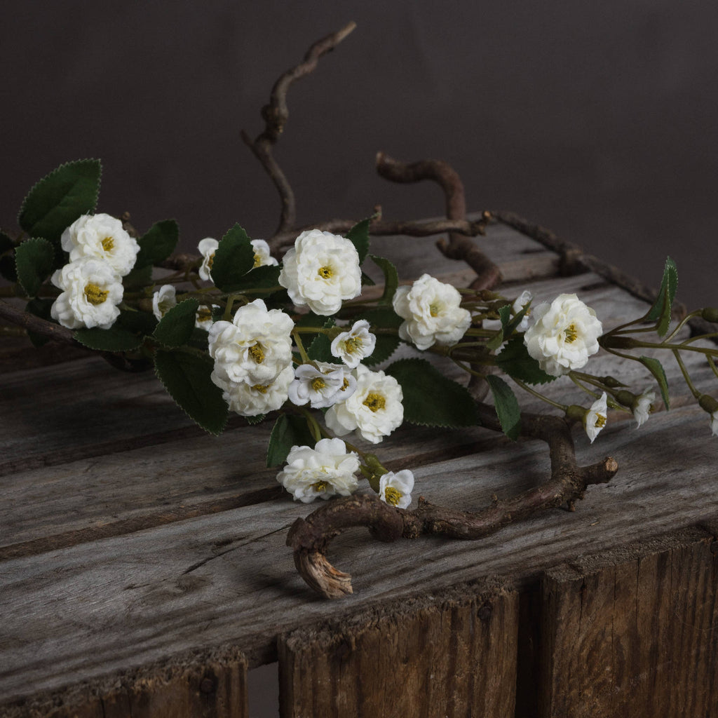 White Wild Meadow Rose 74 cm