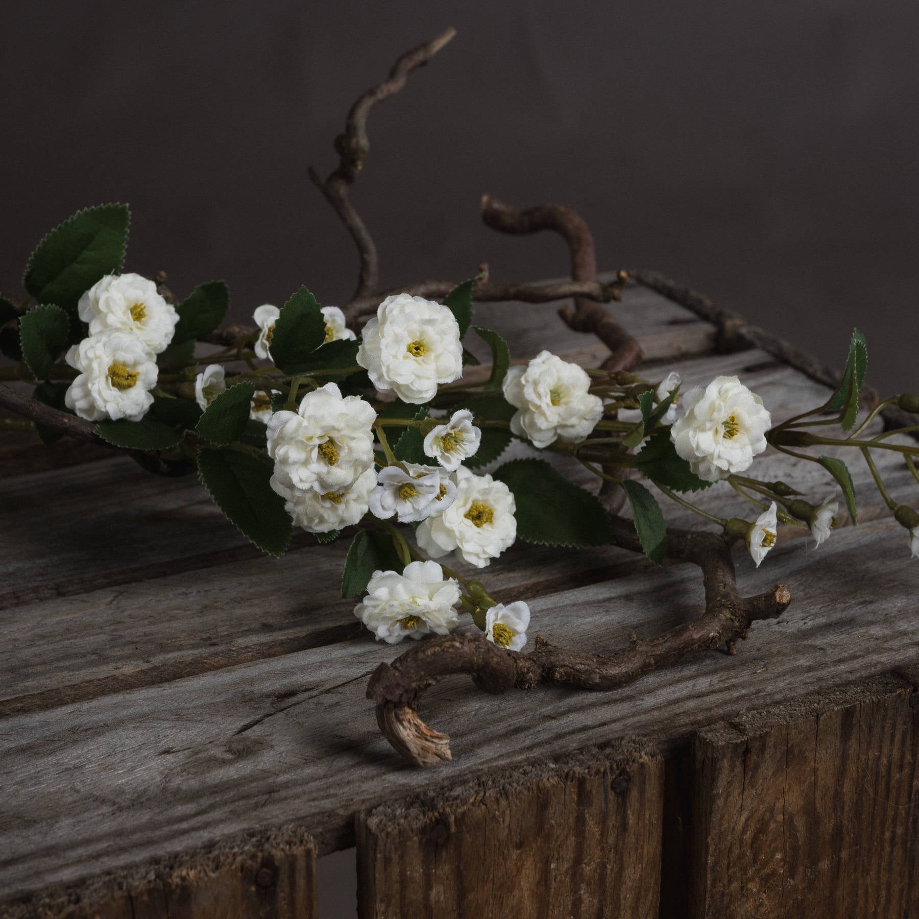 White Wild Meadow Rose 74 cm