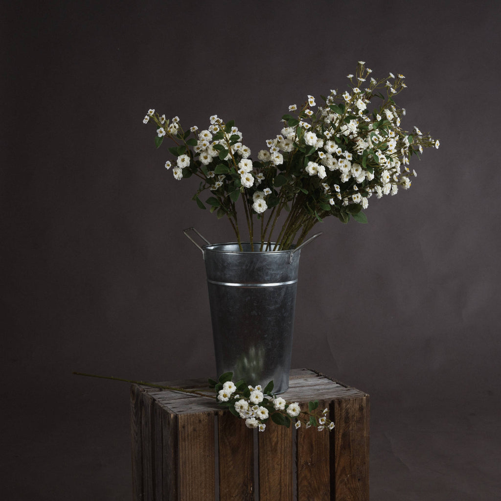 White Wild Meadow Rose 74 cm