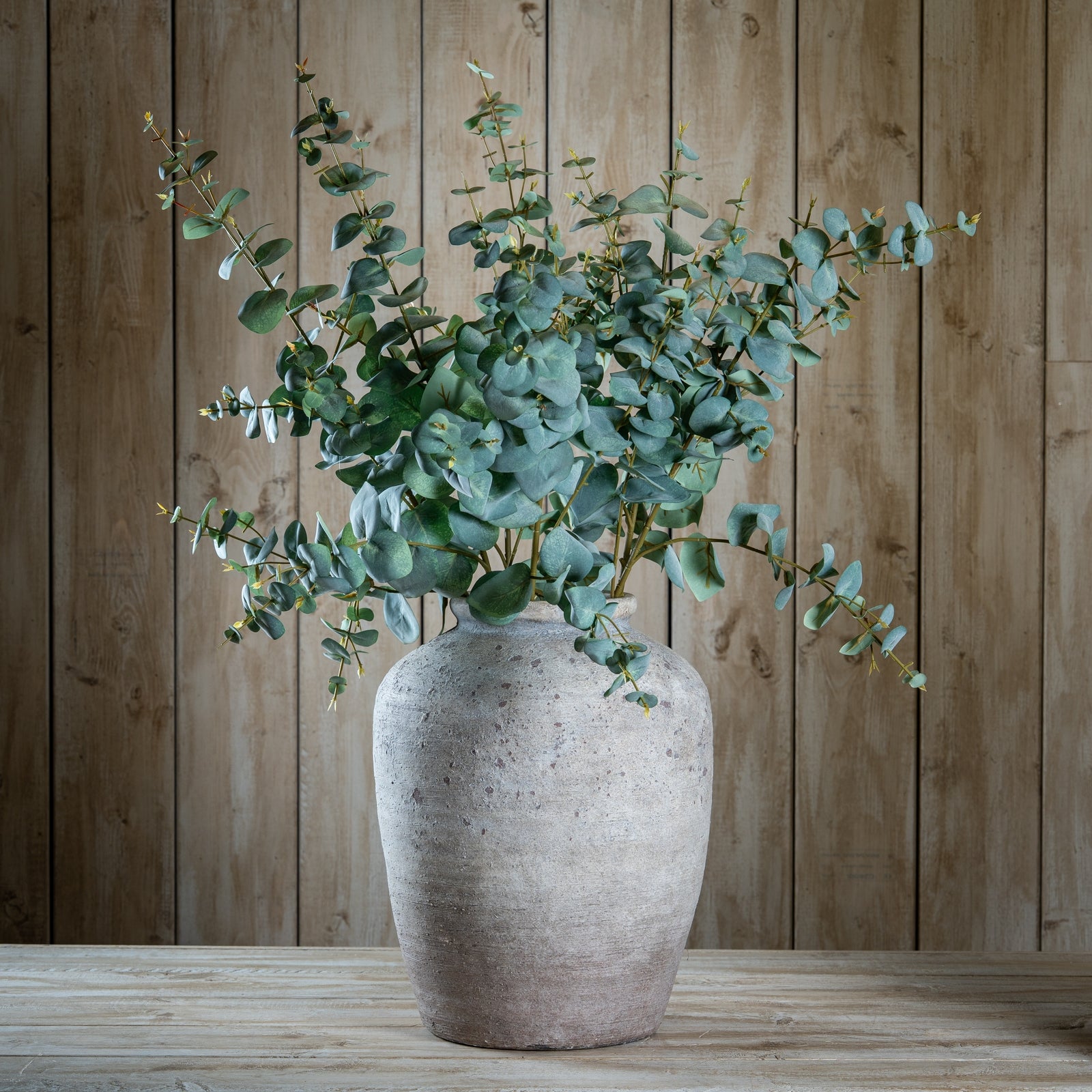 Variegated Eucalyptus 98 cm