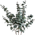 Variegated Eucalyptus 98 cm