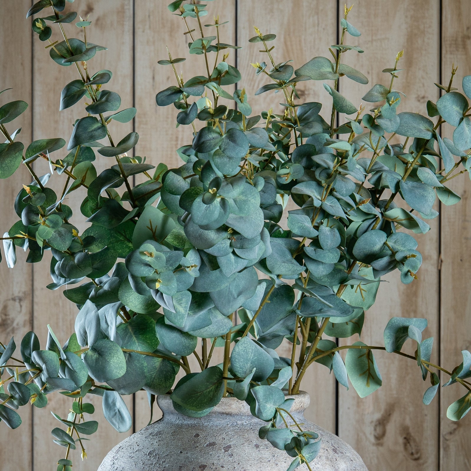 Variegated Eucalyptus 98 cm