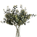 Eucalyptus Spray 91 cm