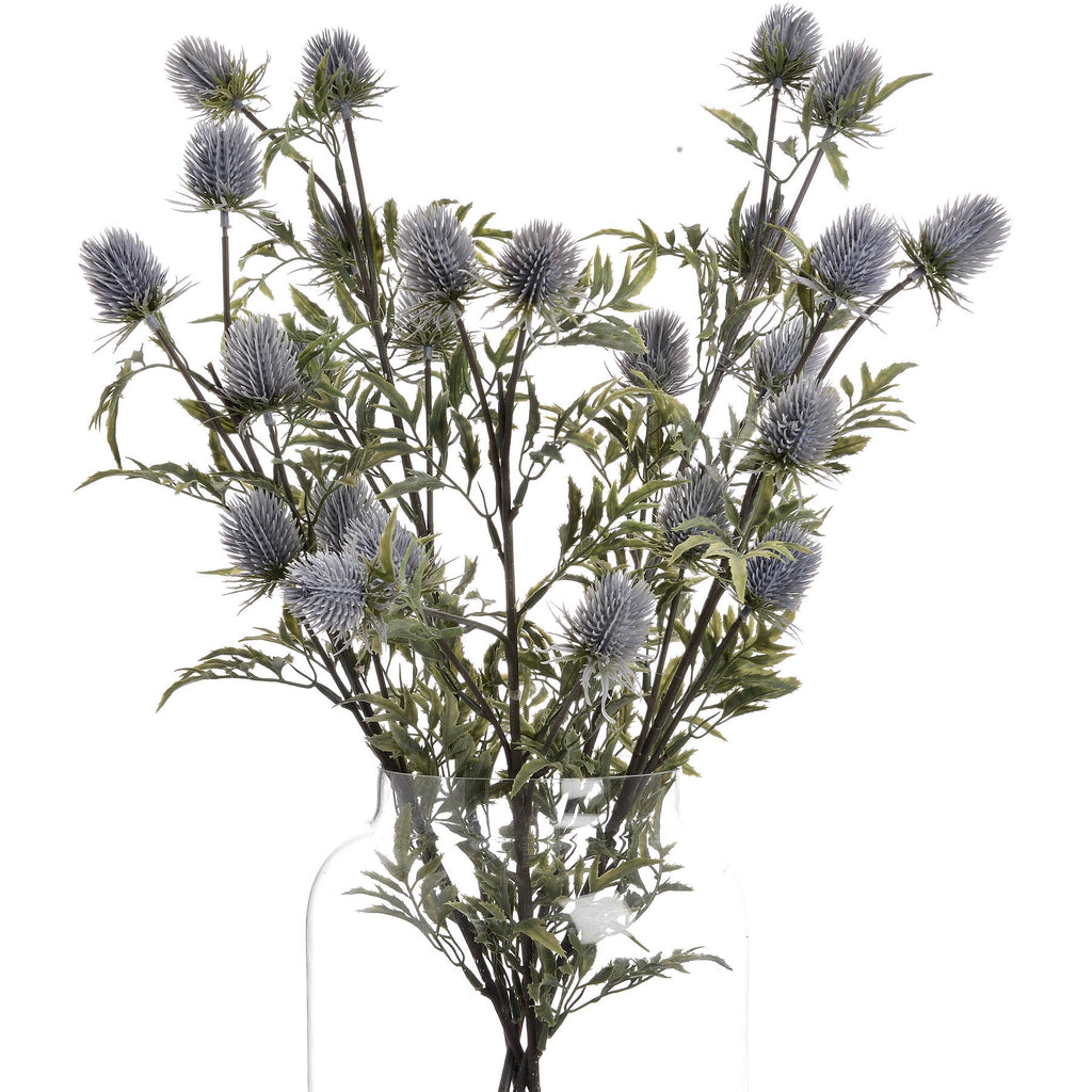 Eryngium Thistle 76 cm