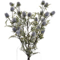 Eryngium Thistle 76 cm