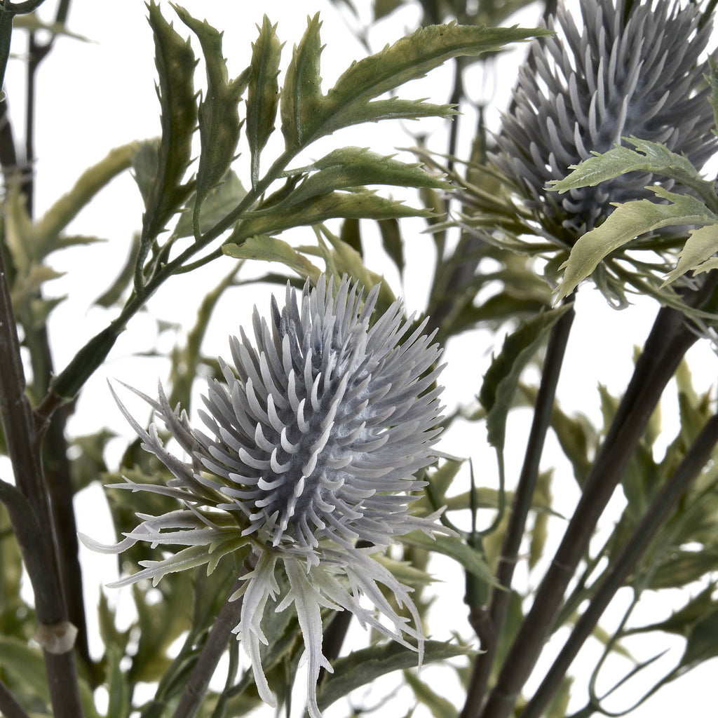Eryngium Thistle 76 cm