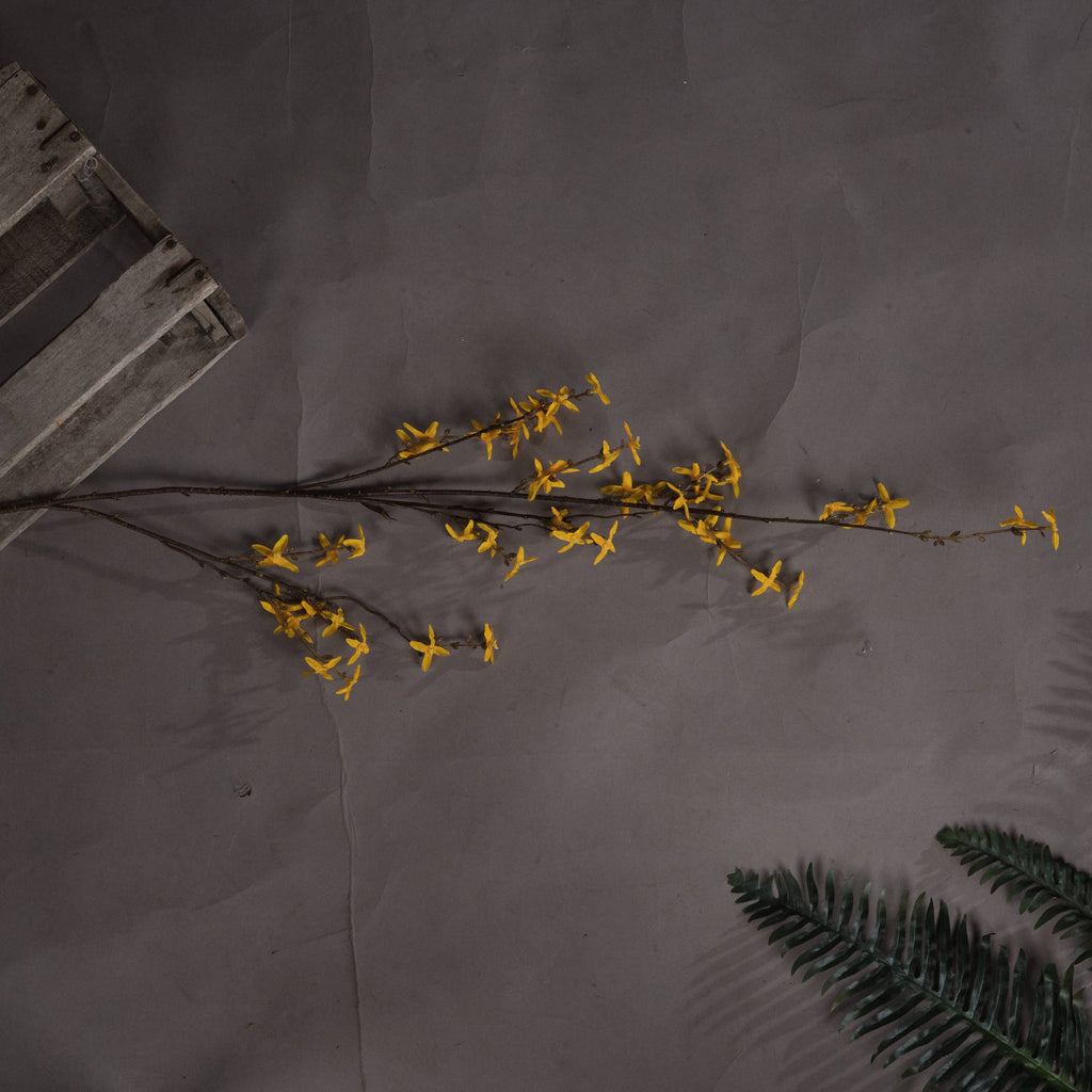 Forsythia 108 cm