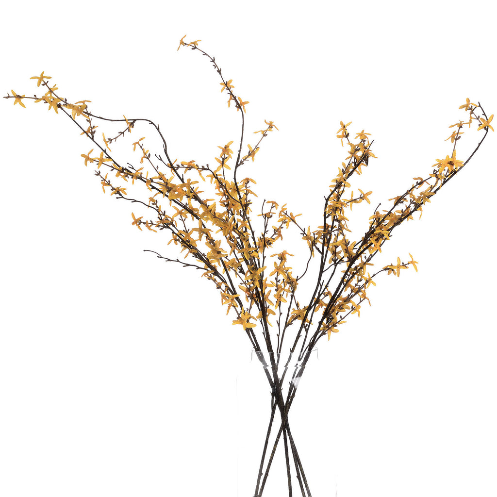 Forsythia 108 cm