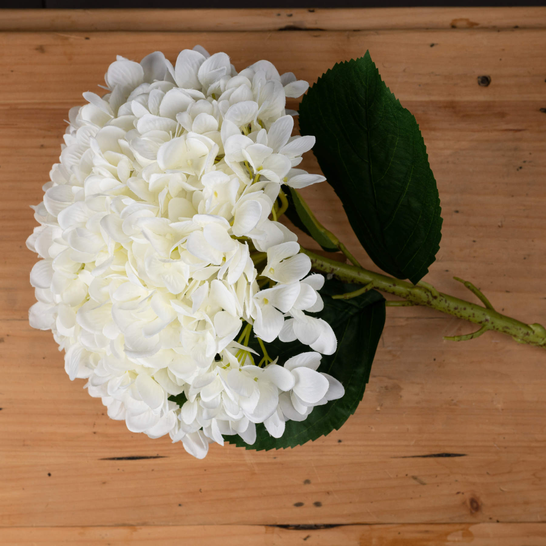 Oversized White Hydrangea 73 cm