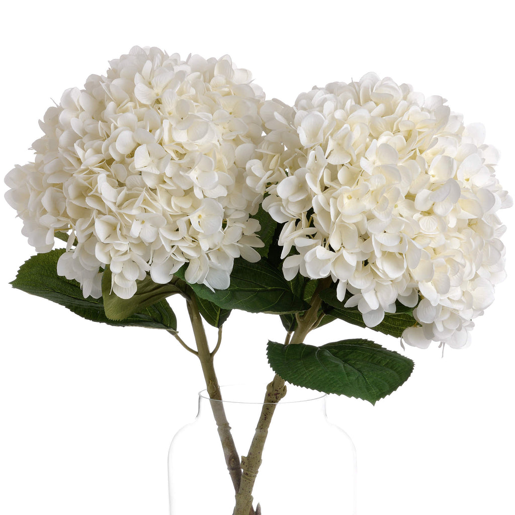 Oversized White Hydrangea 73 cm