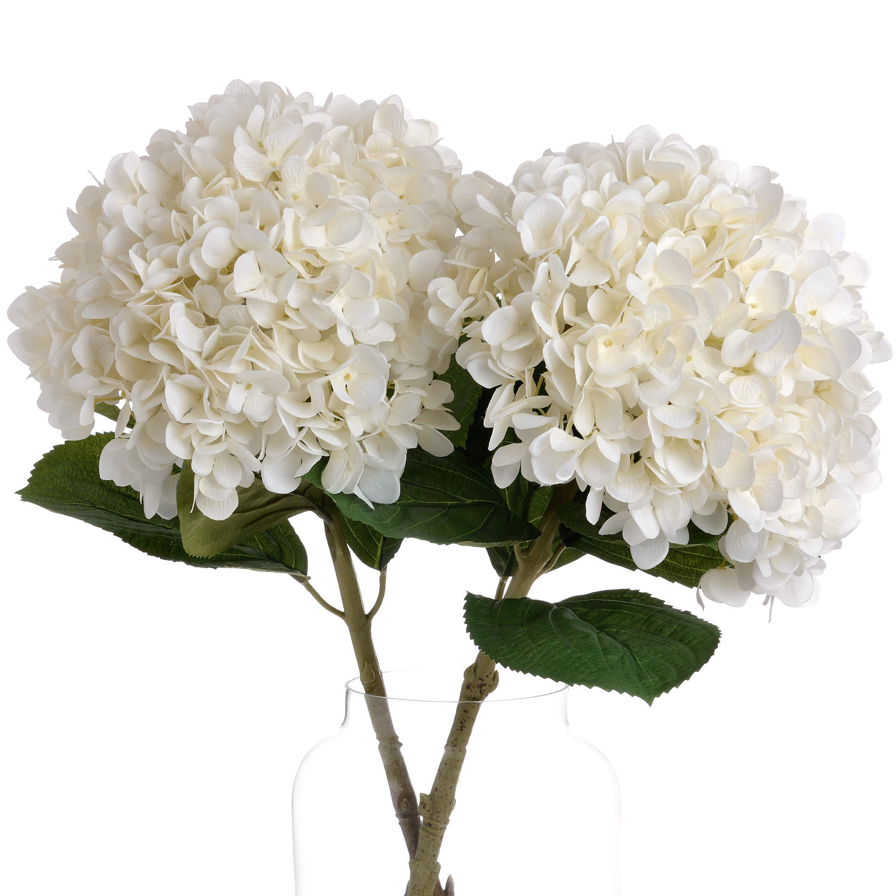 Oversized White Hydrangea 73 cm