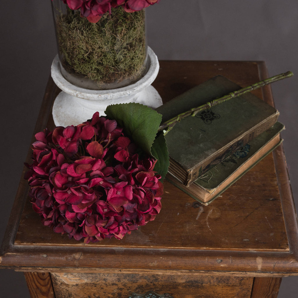 Autumn Ruby Hydrangea 42 cm