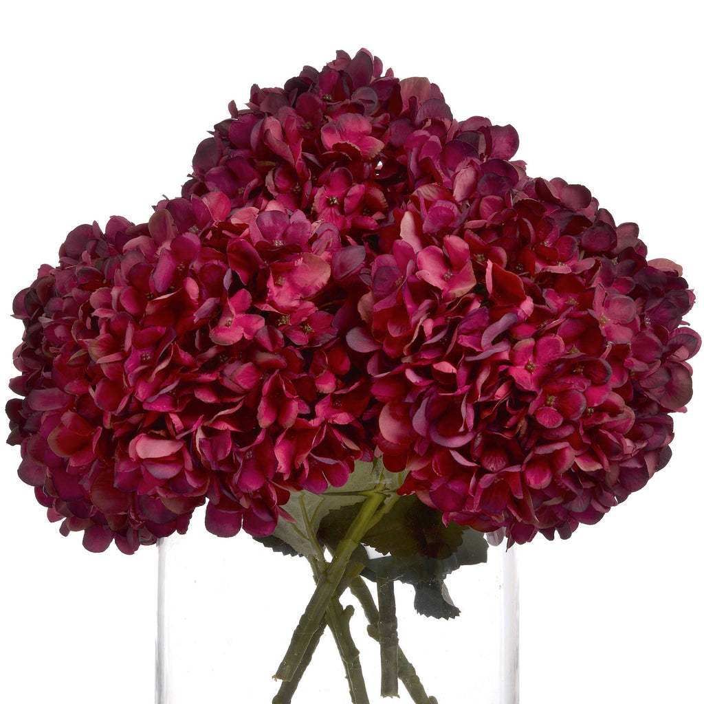 Autumn Ruby Hydrangea 42 cm