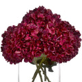 Autumn Ruby Hydrangea 42 cm