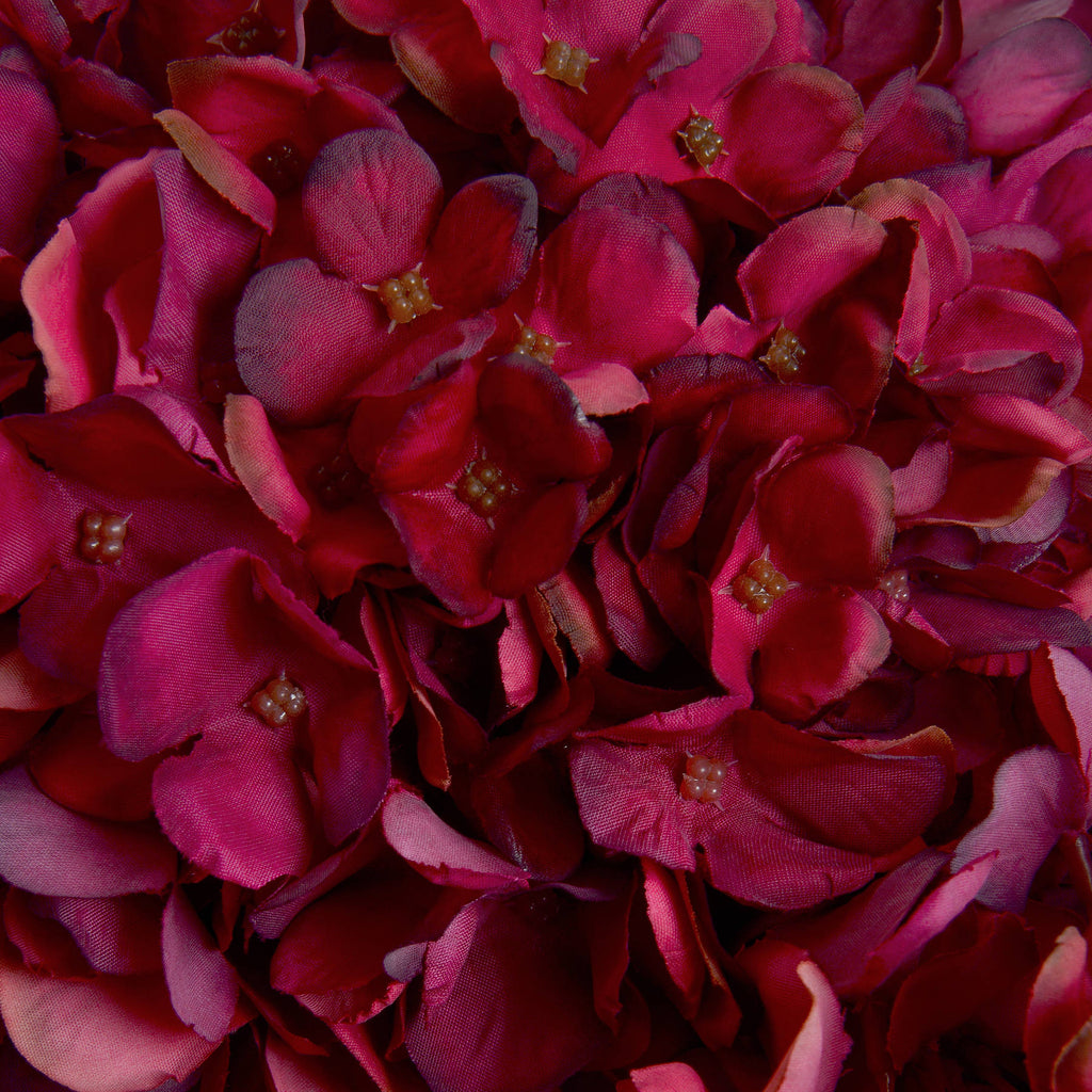 Autumn Ruby Hydrangea 42 cm