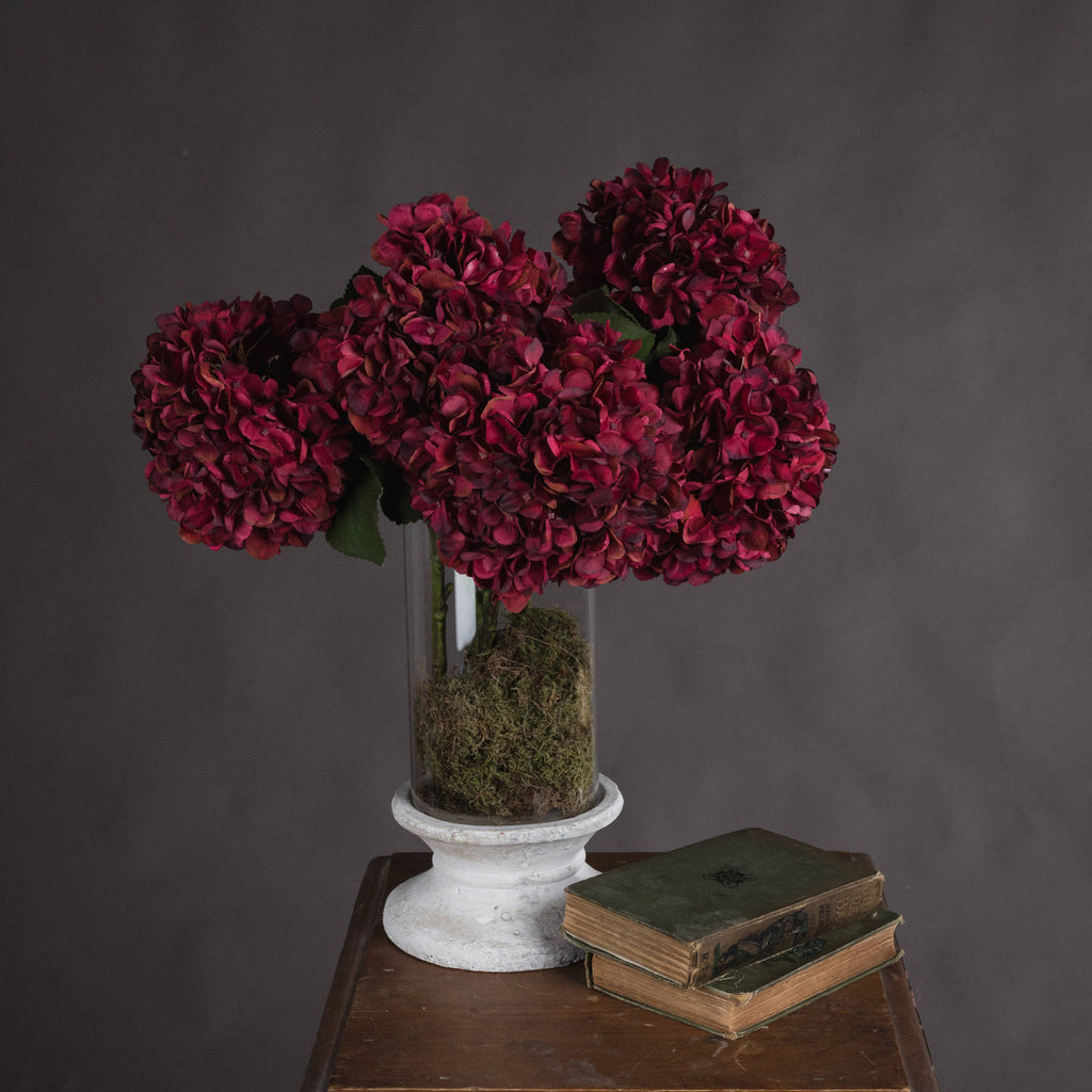 Autumn Ruby Hydrangea 42 cm