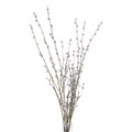 Pussy Willow Branch 103 cm