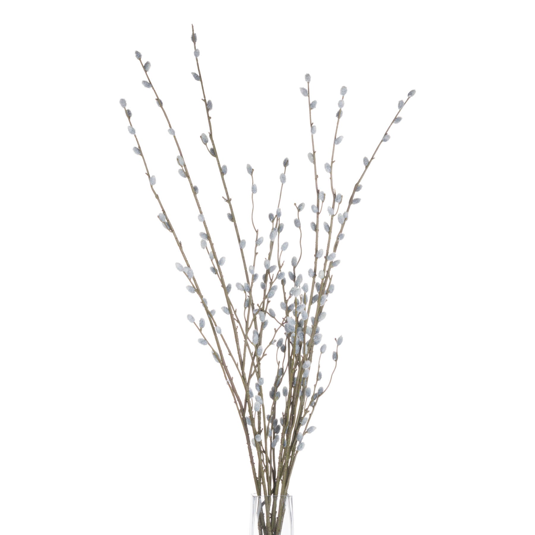 Pussy Willow Branch 103 cm