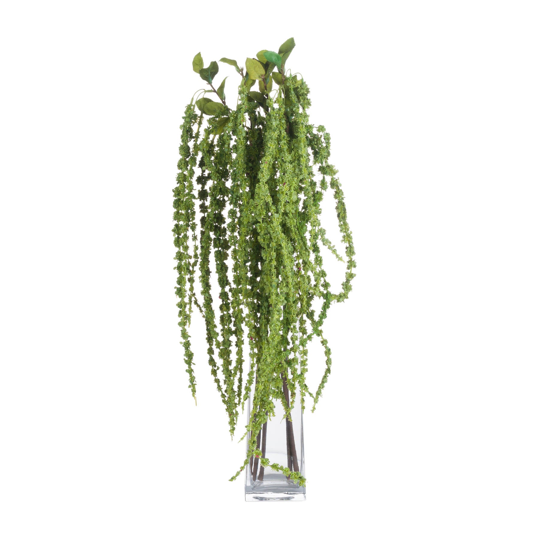 Green Amaranthus 100 cm