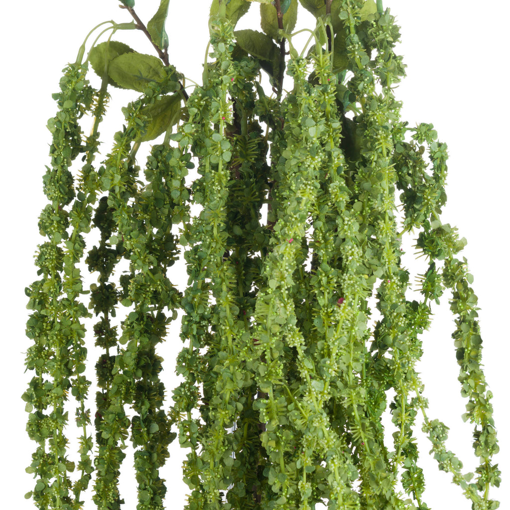 Green Amaranthus 100 cm