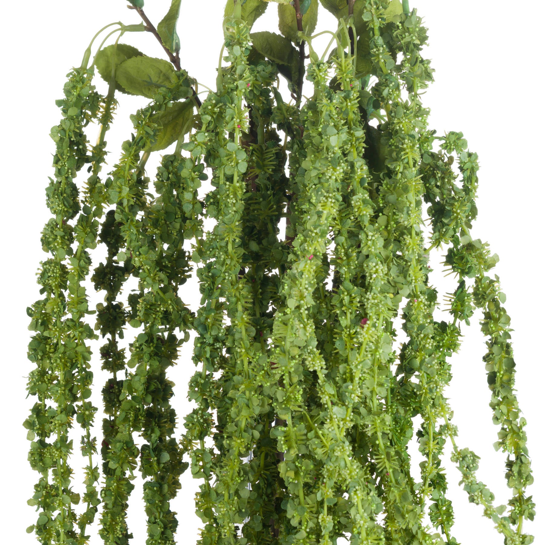 Green Amaranthus 100 cm