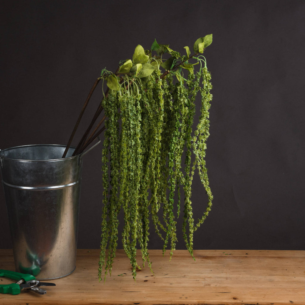 Green Amaranthus 100 cm