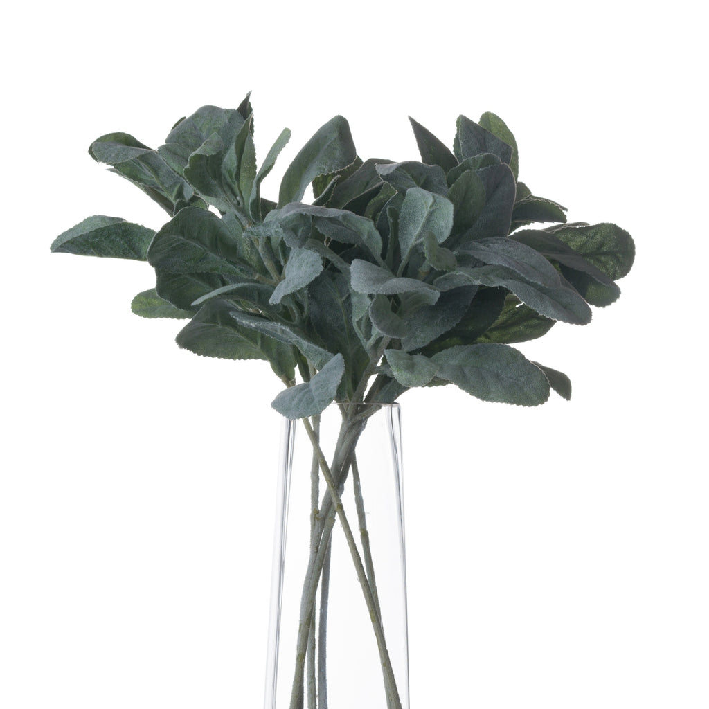 Lambs Ear Spray 35 cm