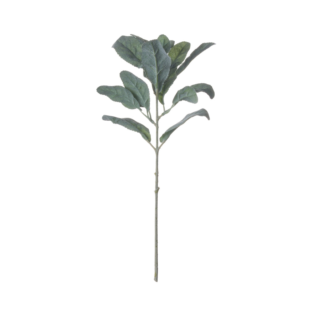 Lambs Ear Spray 35 cm