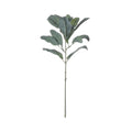 Lambs Ear Spray 35 cm