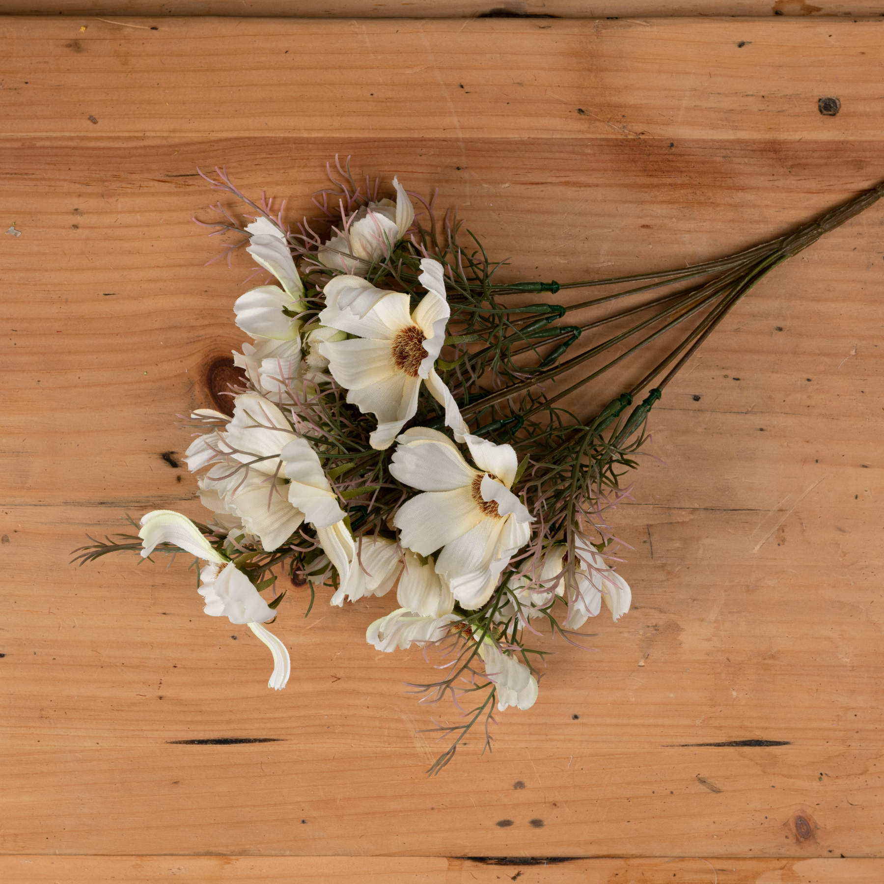 Cream Cosmos Spray 36 cm