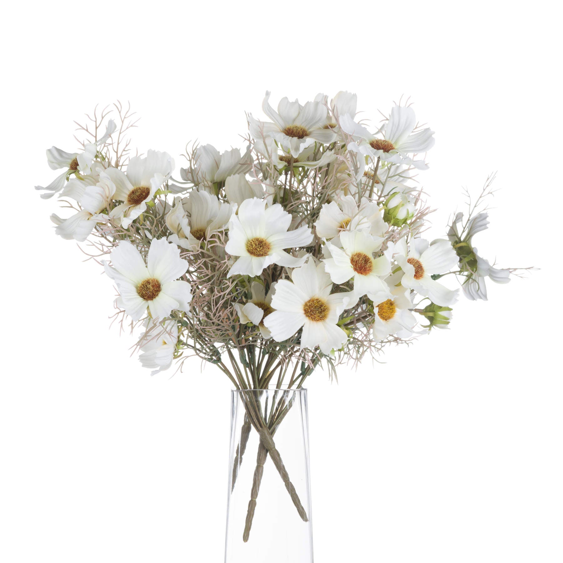 Cream Cosmos Spray 36 cm