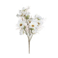 Cream Cosmos Spray 36 cm