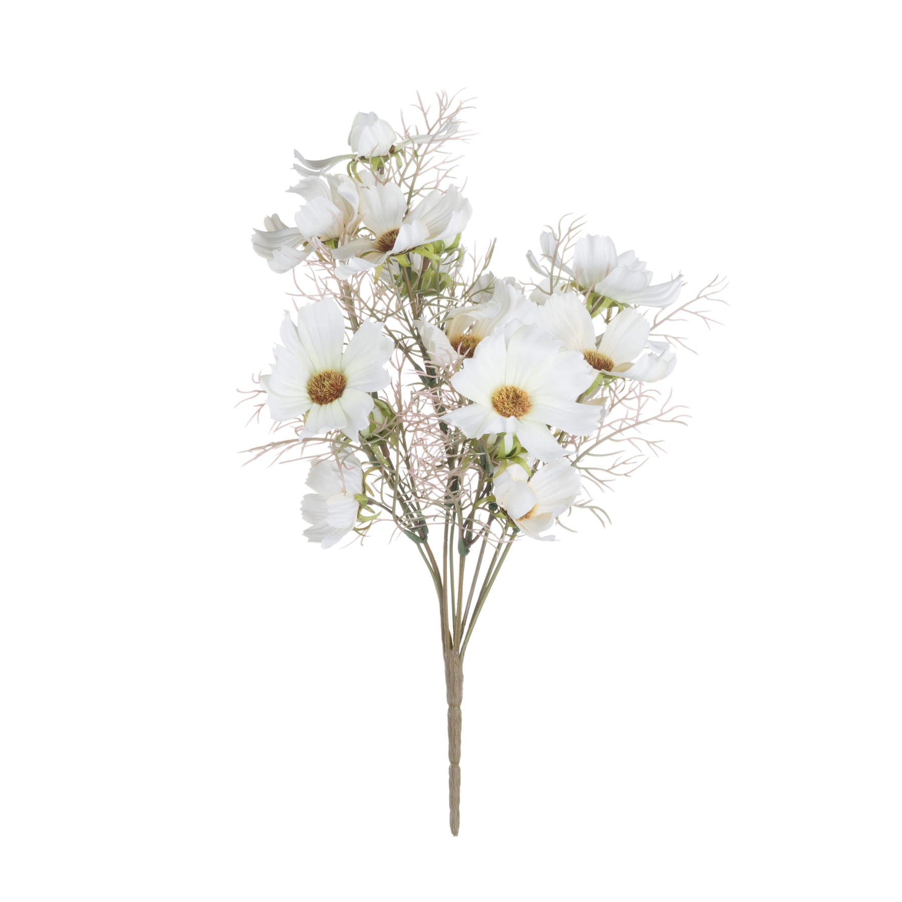 Cream Cosmos Spray 36 cm