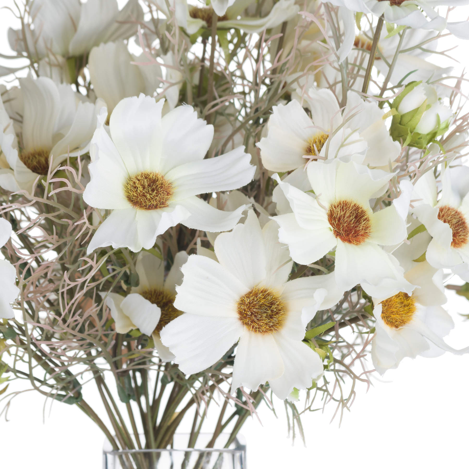 Cream Cosmos Spray 36 cm