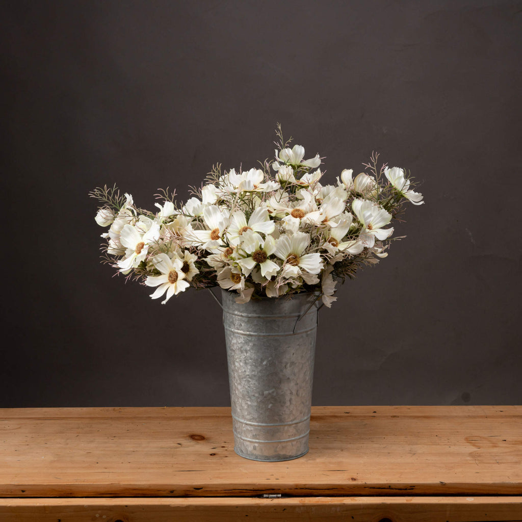 Cream Cosmos Spray 36 cm