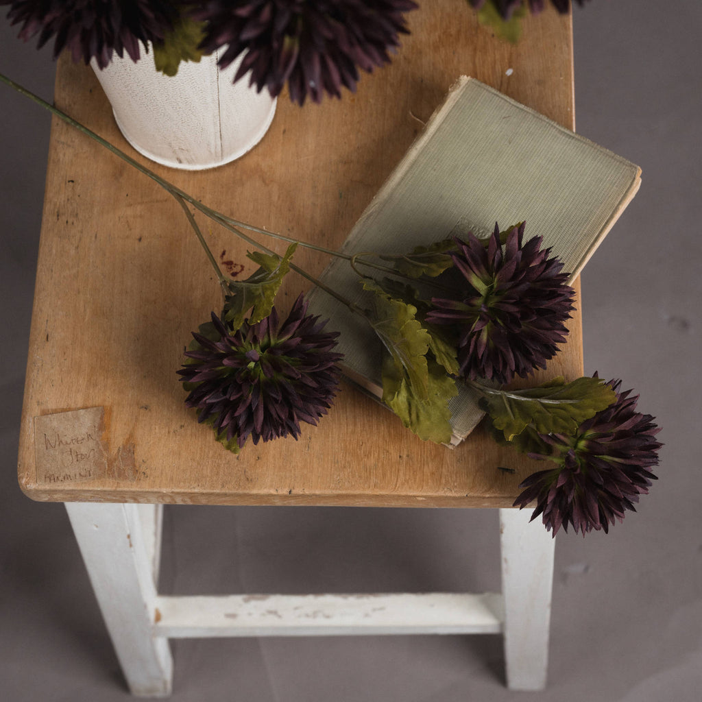 Chocolate Chrysanthemum 45 cm