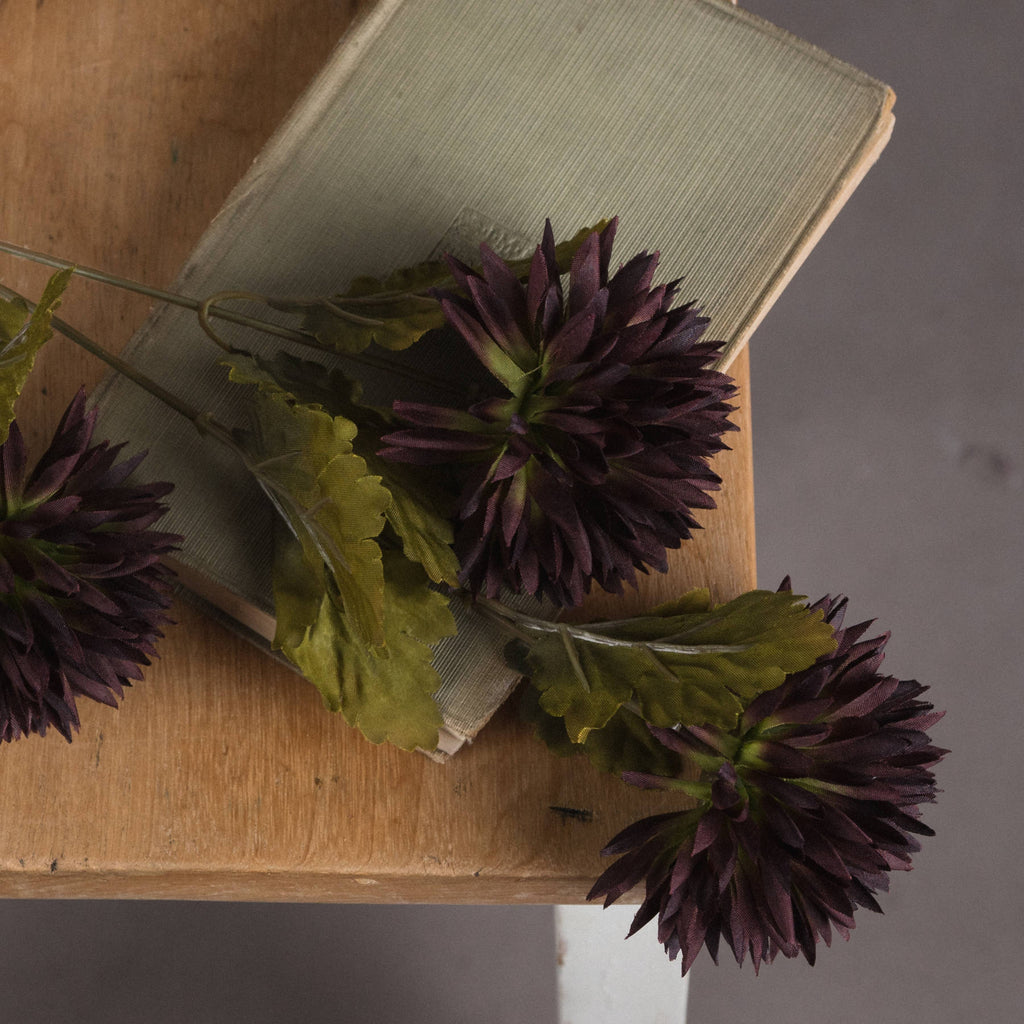 Chocolate Chrysanthemum 45 cm