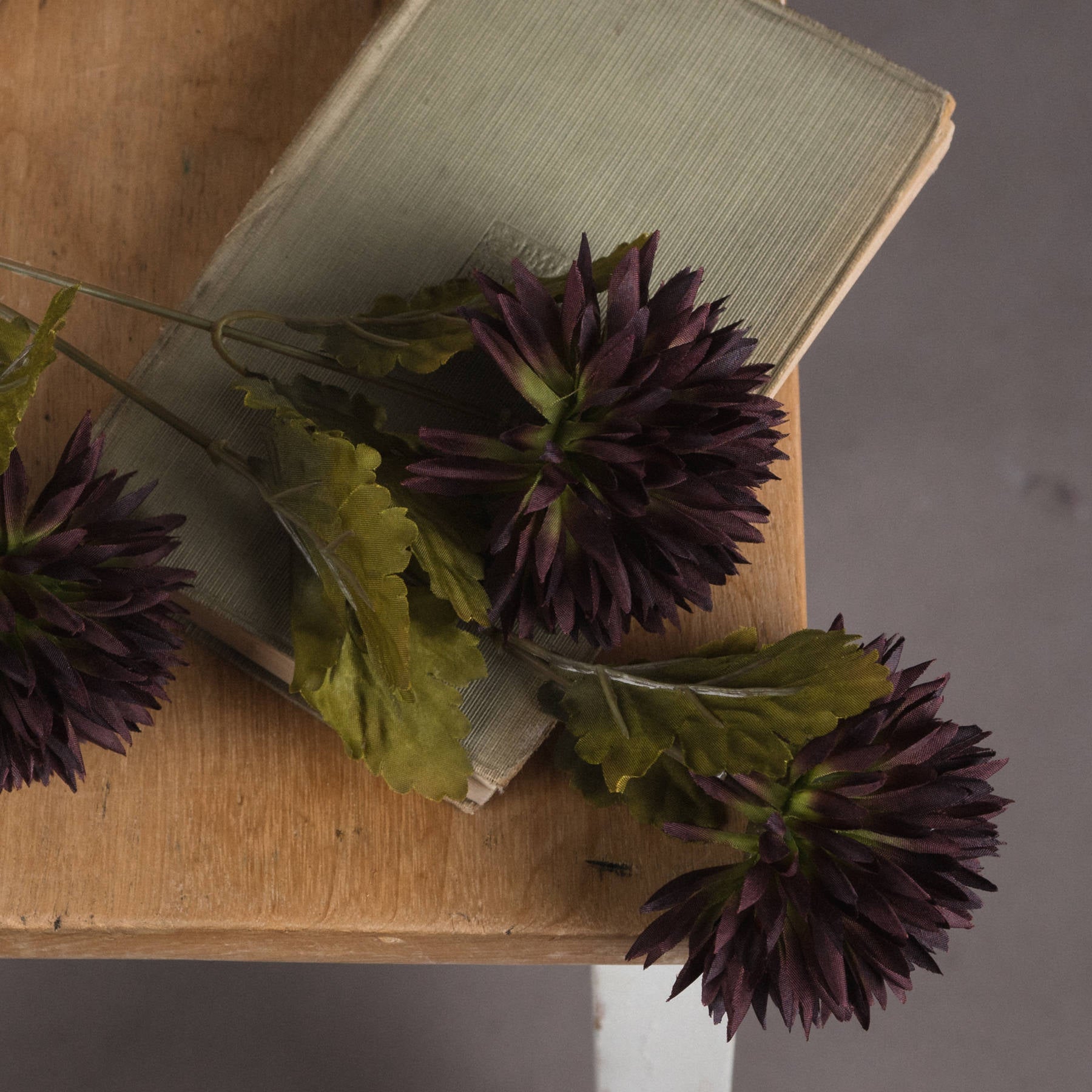Chocolate Chrysanthemum 45 cm