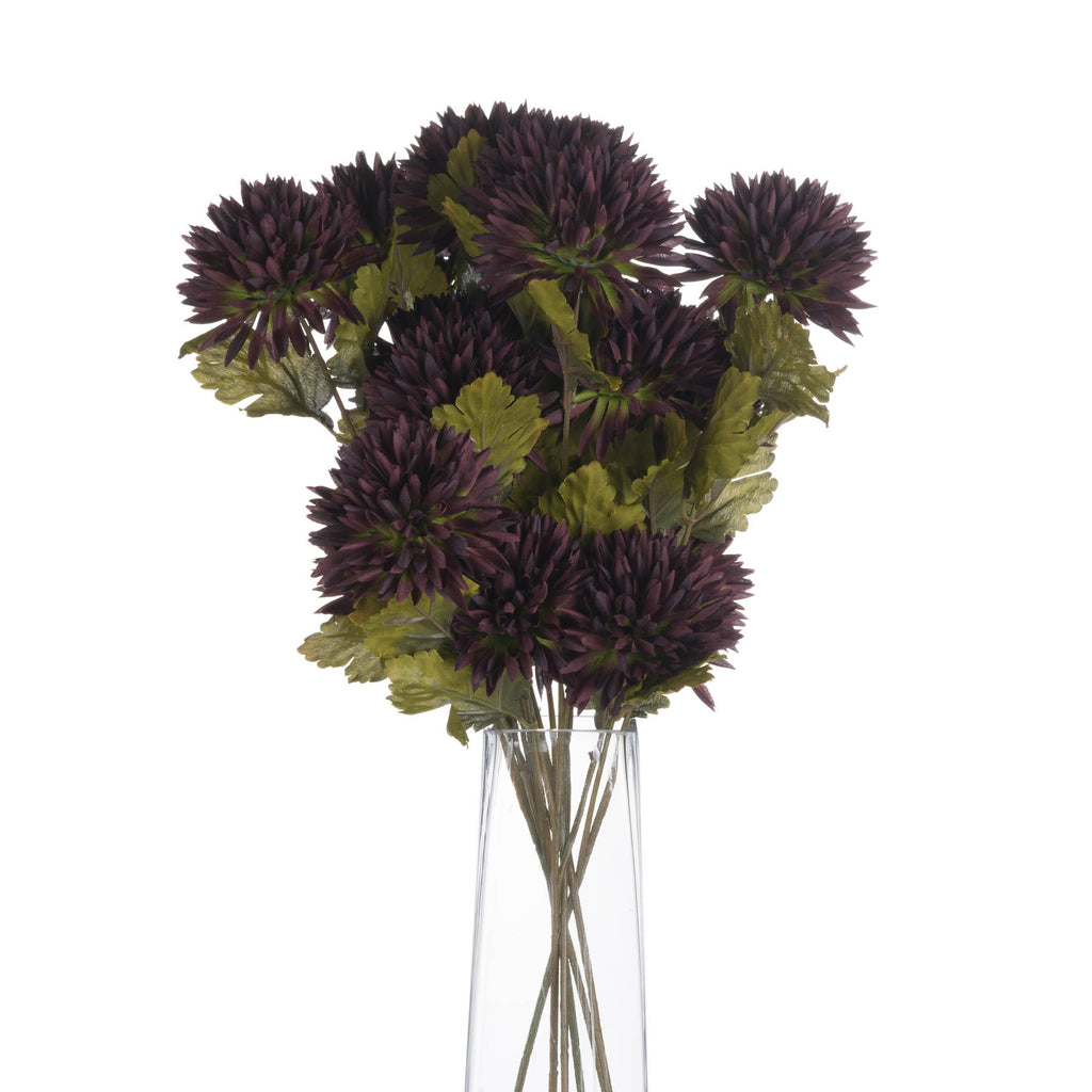 Chocolate Chrysanthemum 45 cm