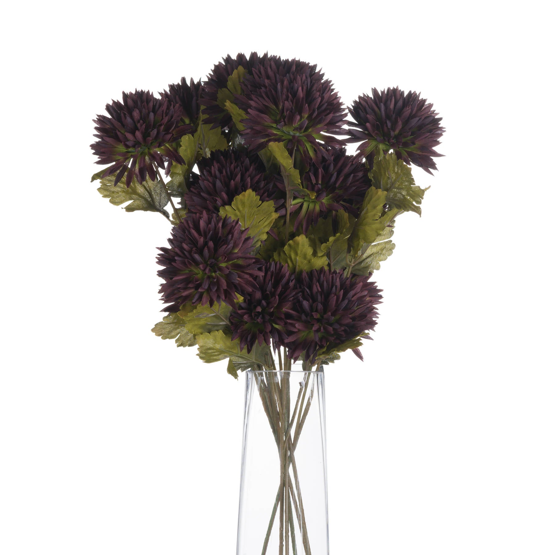 Chocolate Chrysanthemum 45 cm