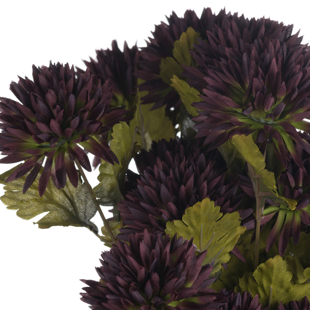 Chocolate Chrysanthemum 45 cm
