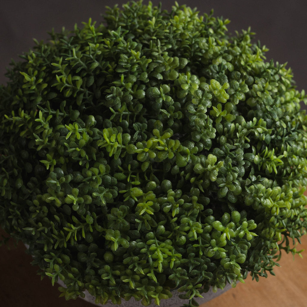 Small Hebe Globe Pot 15 cm