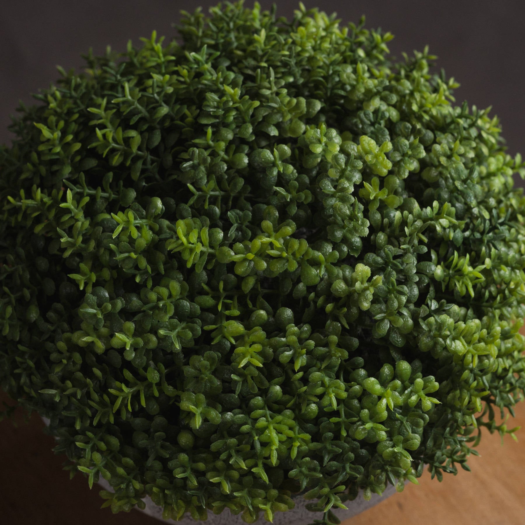 Small Hebe Globe Pot 15 cm