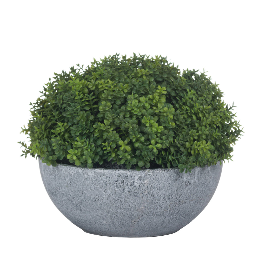 Small Hebe Globe Pot 15 cm