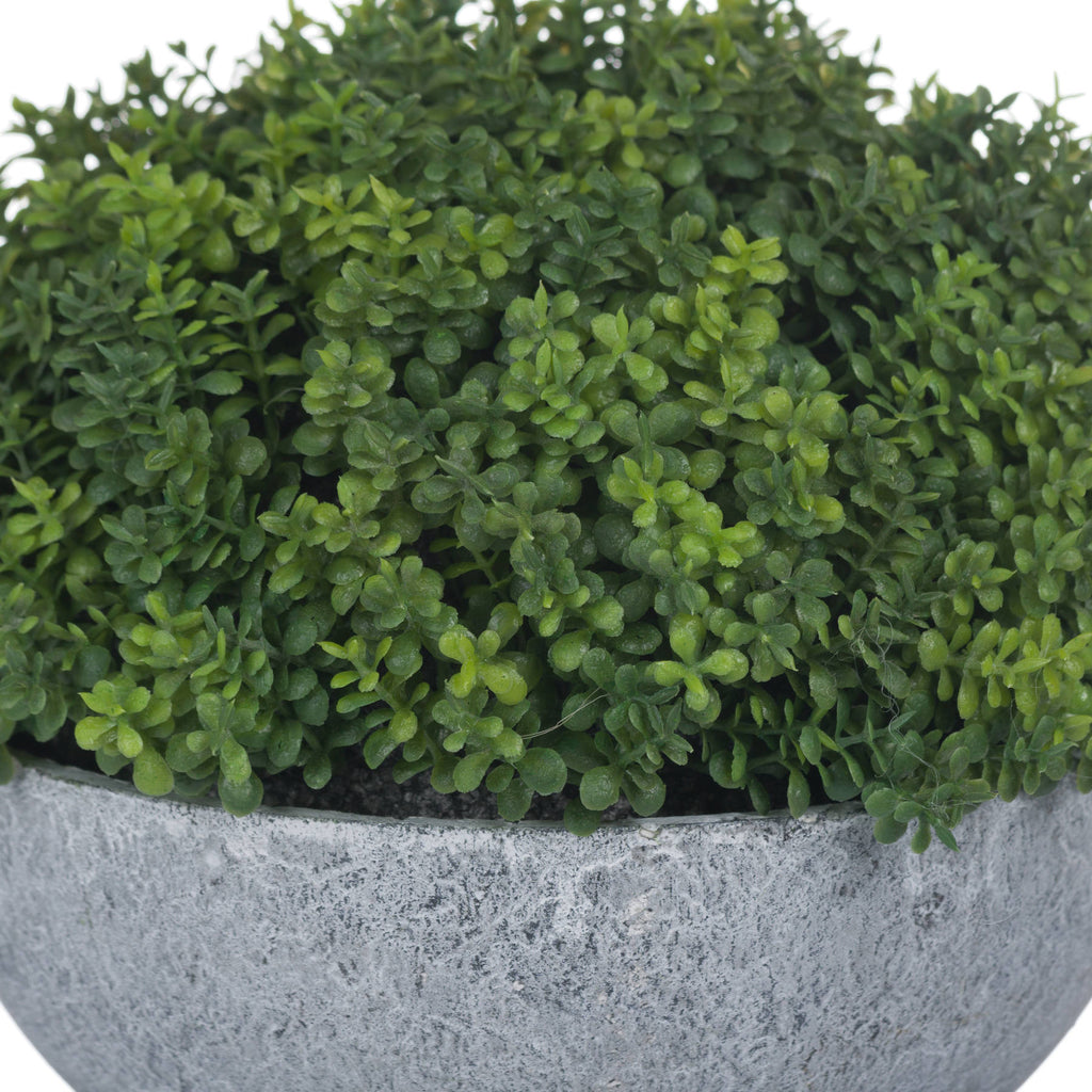 Small Hebe Globe Pot 15 cm