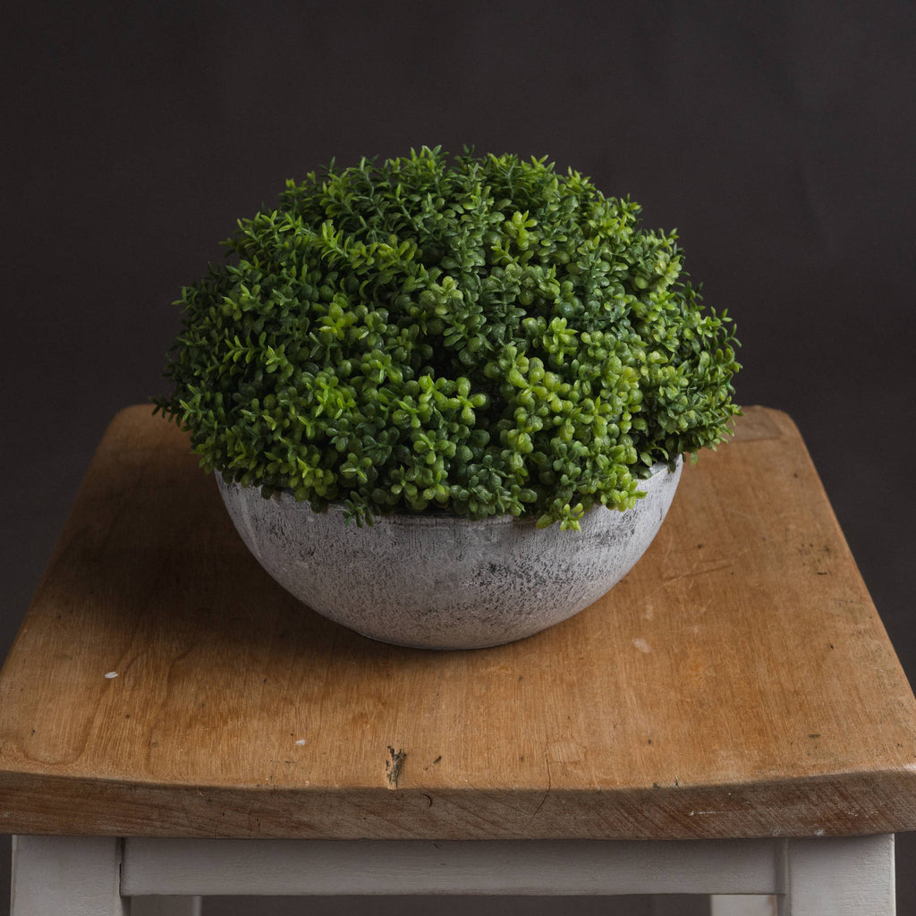 Small Hebe Globe Pot 15 cm