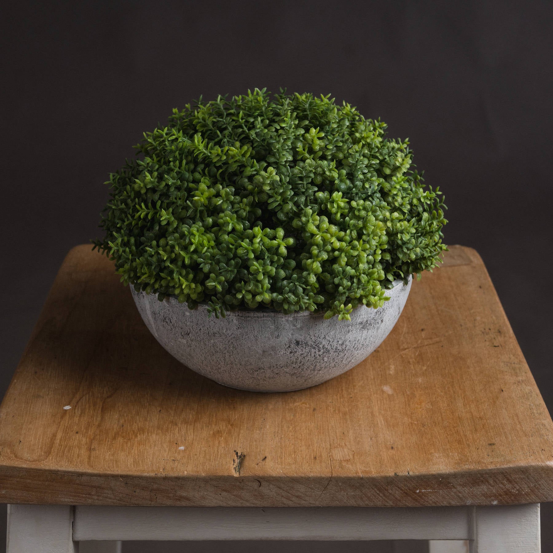 Small Hebe Globe Pot 15 cm