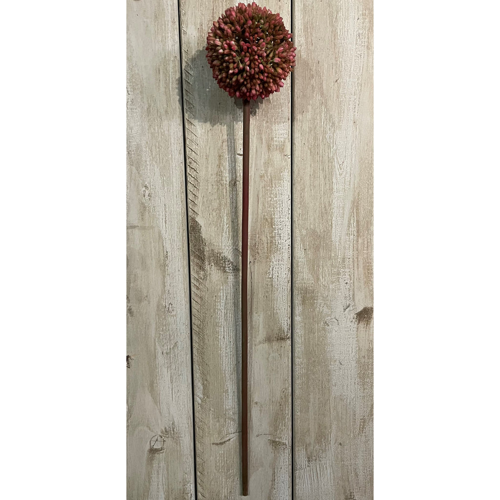 Pink Allium 63 cm