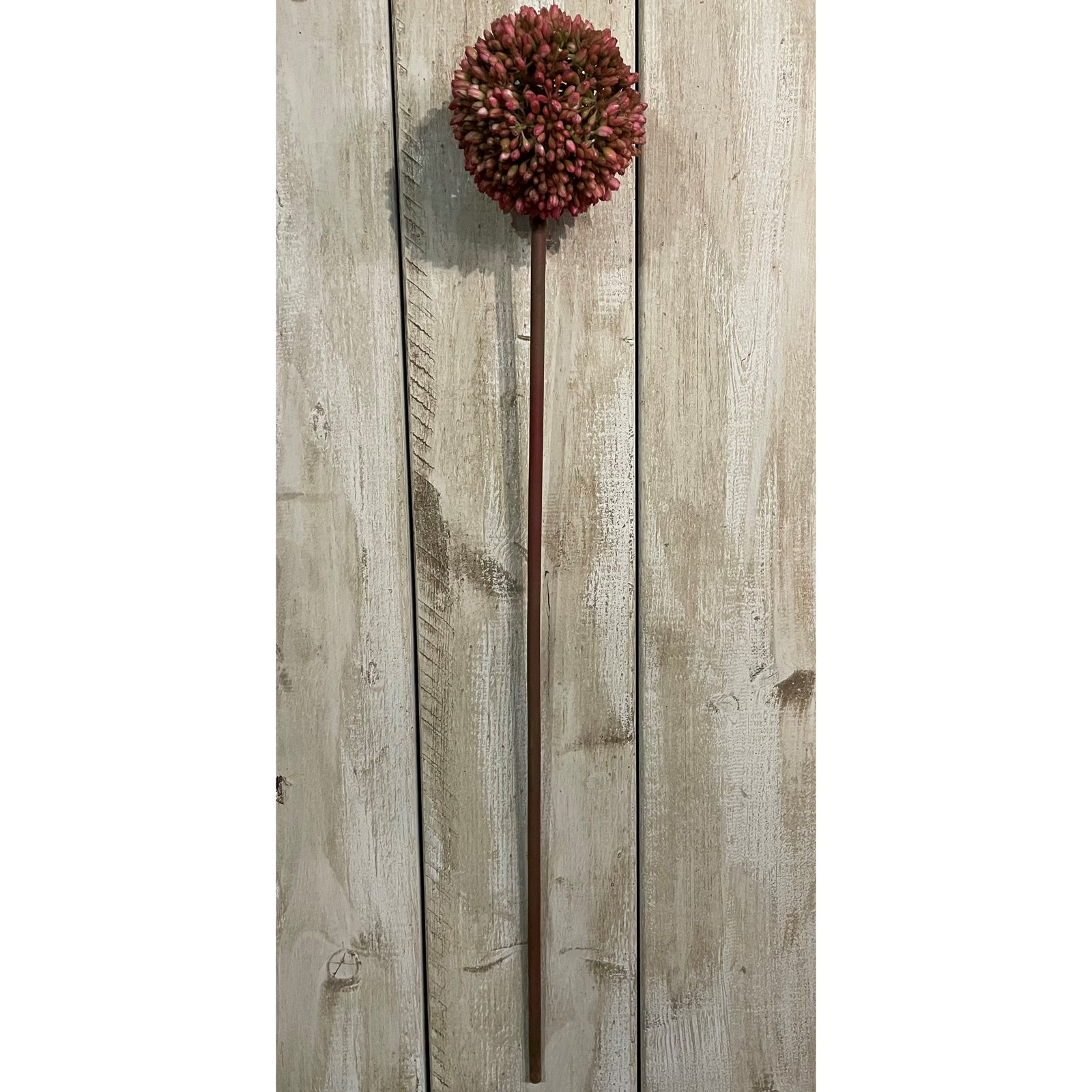 Pink Allium 63 cm